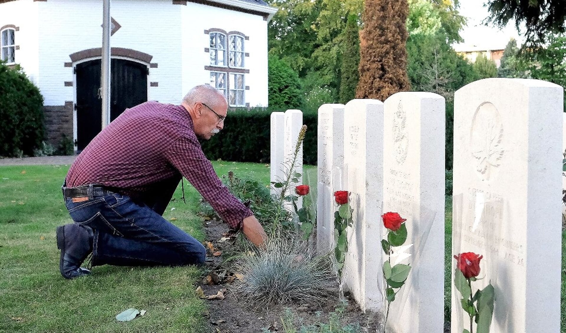 Een van de vrijwilligers verzorgt de militaire graven op de Achterbergsestraatweg in Rhenen.