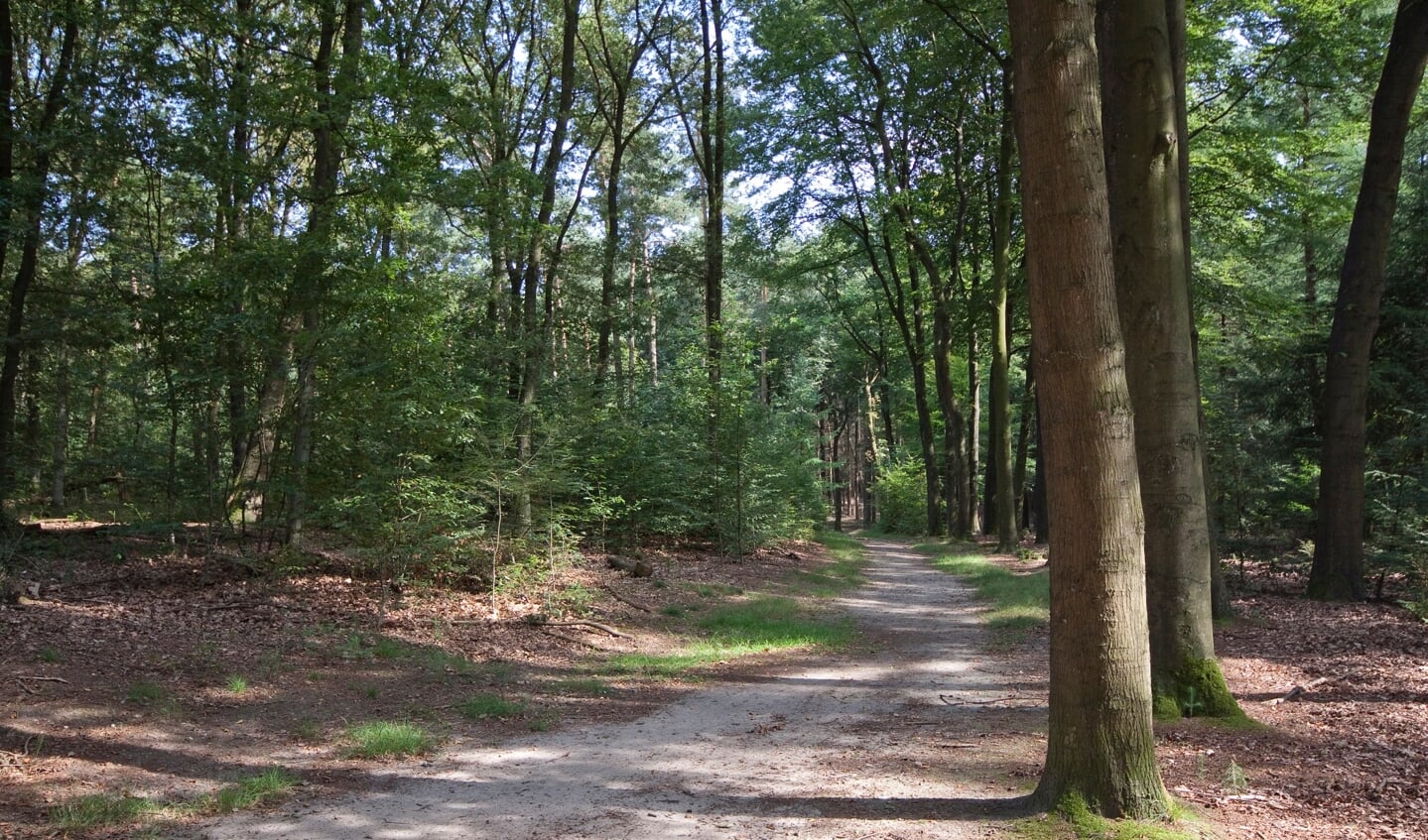 Sysselt Historische wandeling
