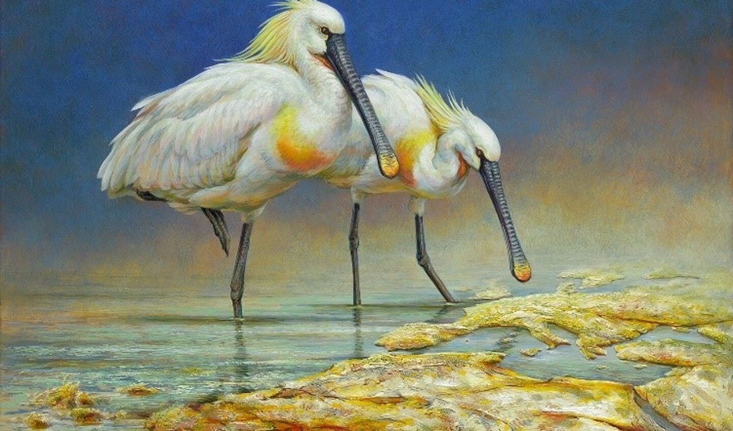 Lepelaars behoren tot de vele trekvogelsoorten die te vinden zijn in de Nederlandse delta