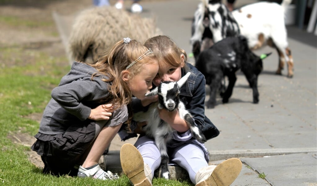 Terpstra en Haartsen verwachten dat op Tweede Paasdag veel kinderen behoefte hebben om een lammetje te knuffelen of andere diertjes te verwennen. 