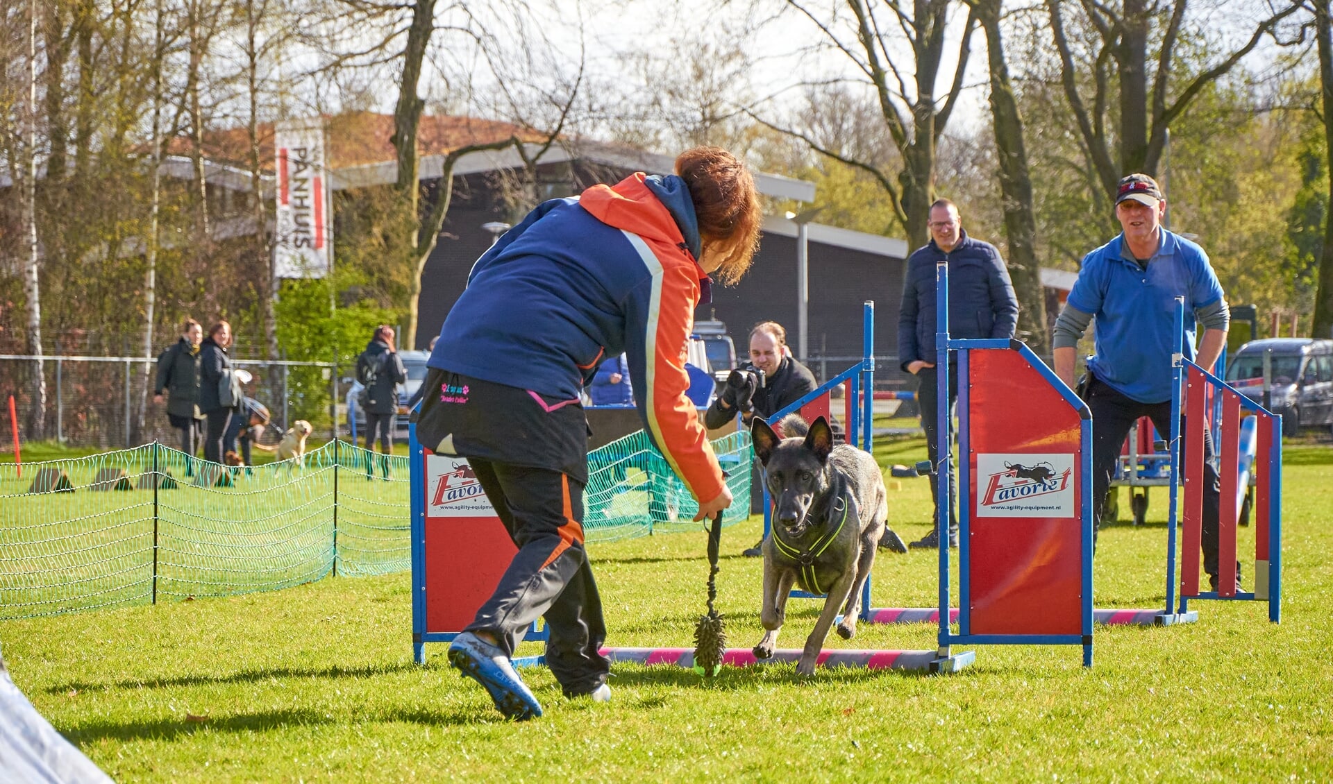 Hond in actie tijdens de agilitylessen op Kynologenclub Noordwest-Veluwe.