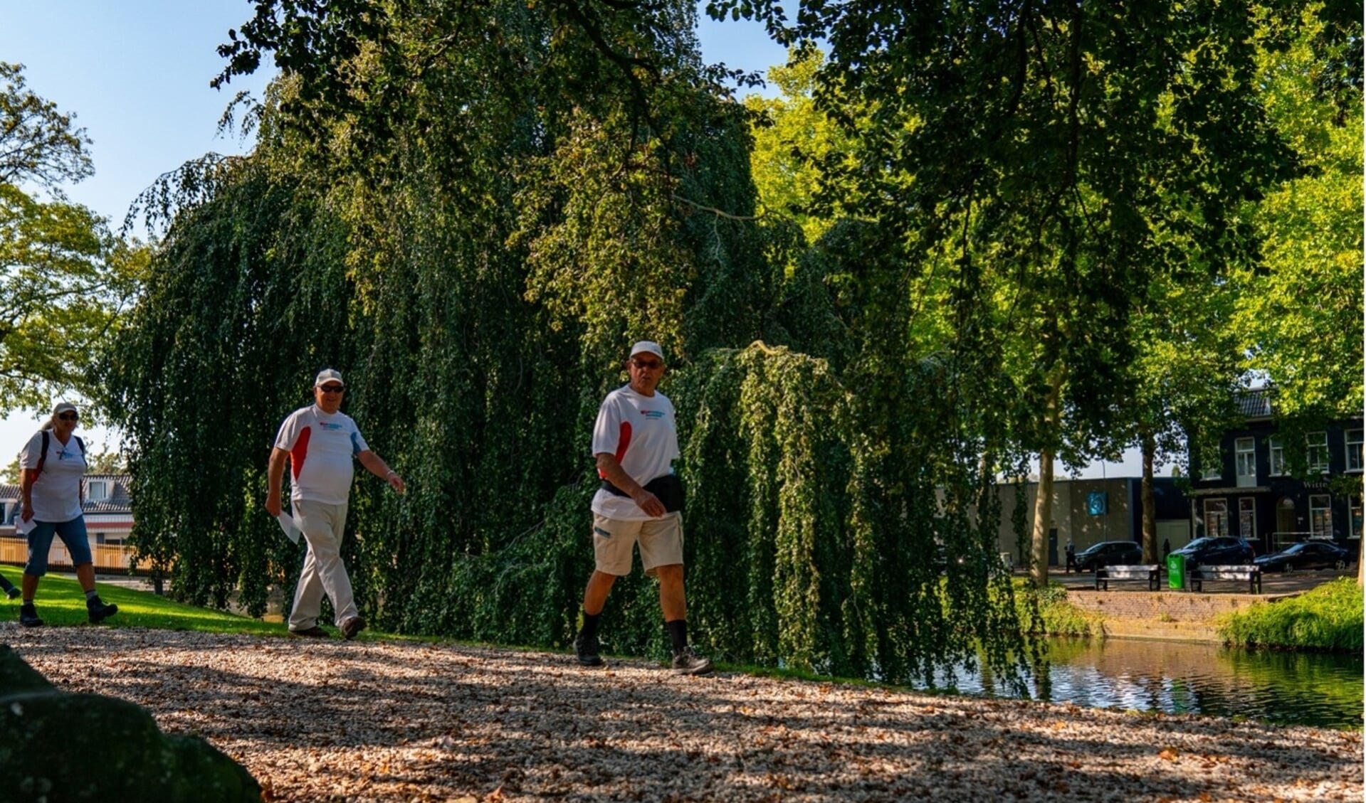 Loop jij als vrijwilliger of wandelcoach mee?