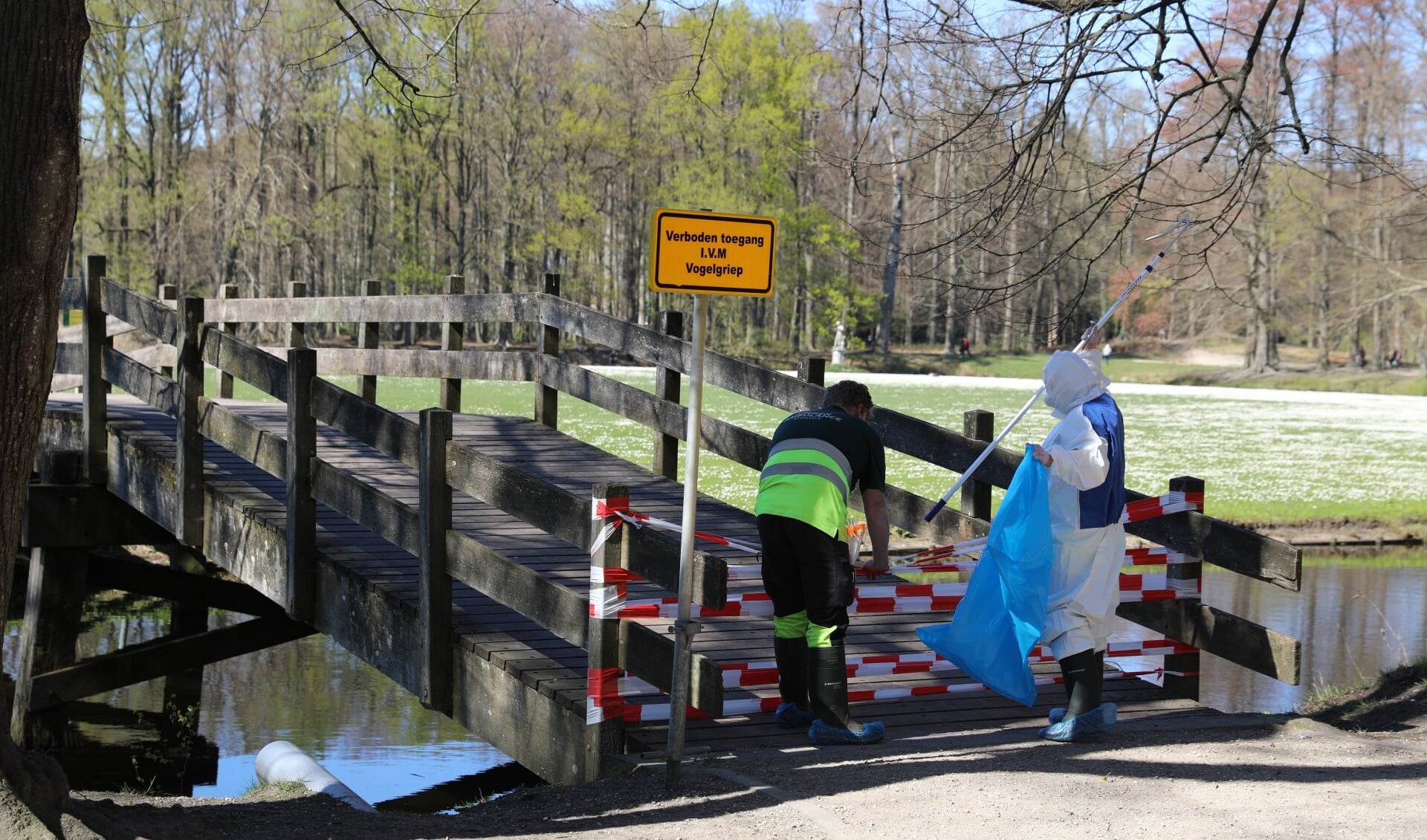 Ruiming van dode wilde vogels met vogelgriep in april dit jaar bij de Koewei in Barneveld.