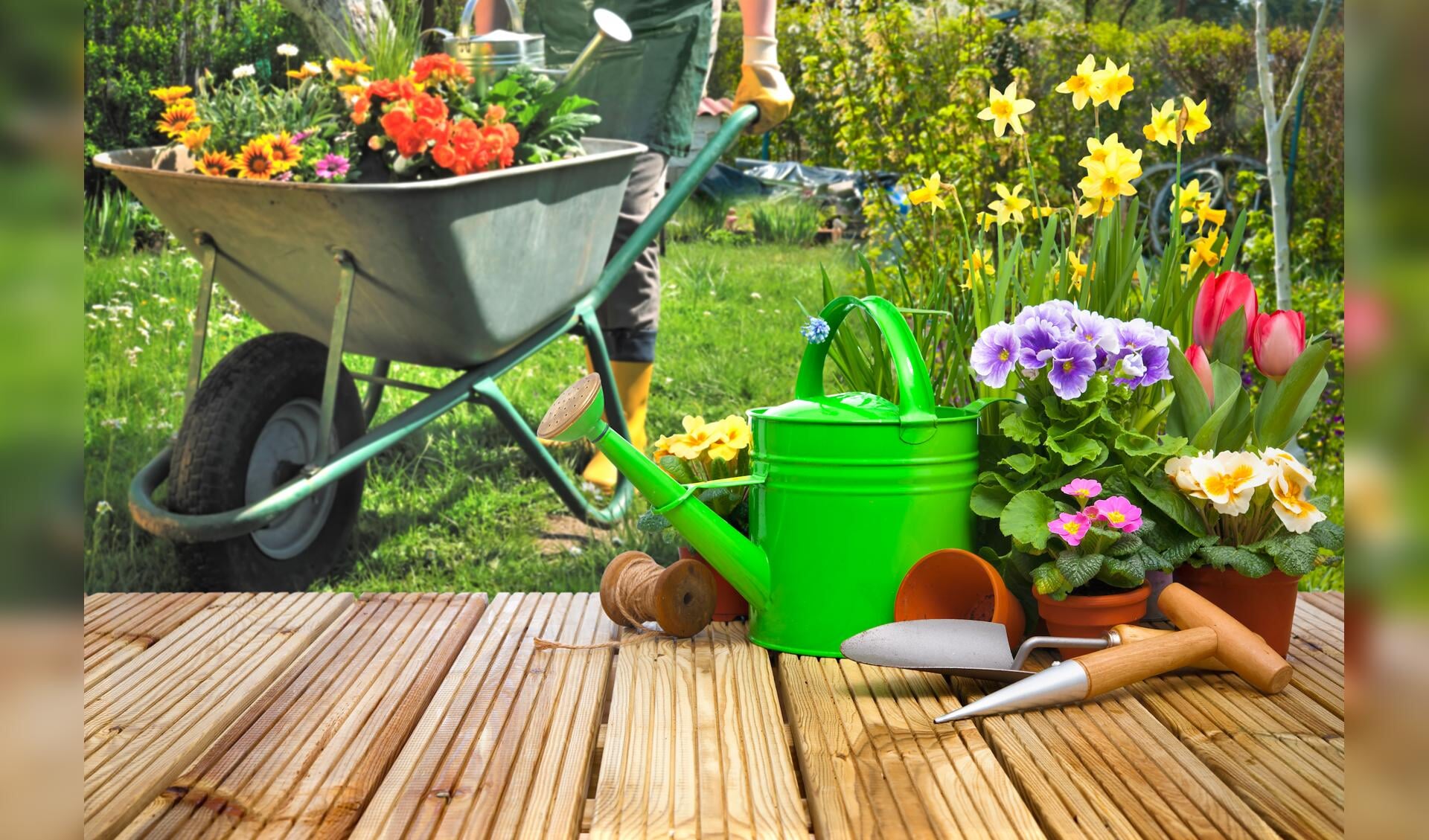 Een groenere tuin levert een bijdrage aan een beter klimaat.