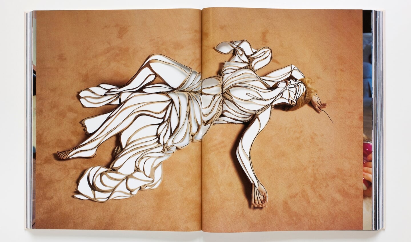 Amie Dicke, Open Book (2017).