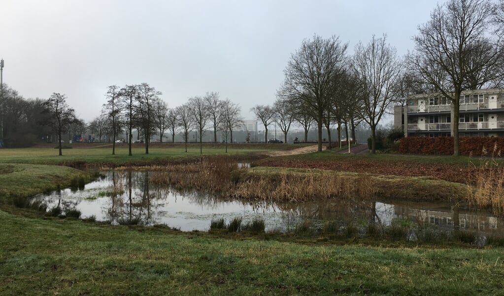 Schothorst, natuur in de wijk