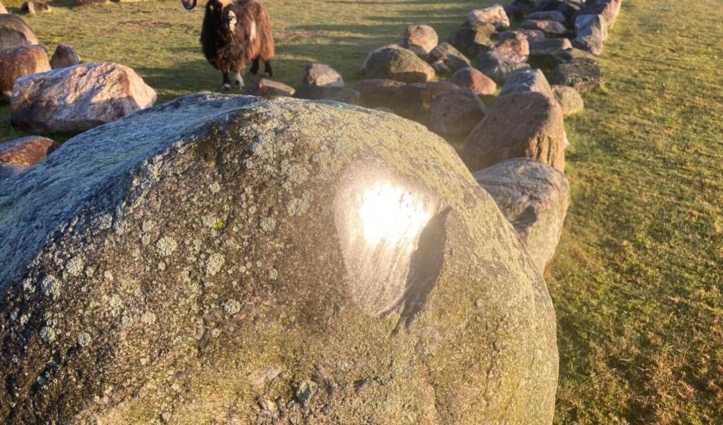 Pjotter op het Zwerfsteneneiland