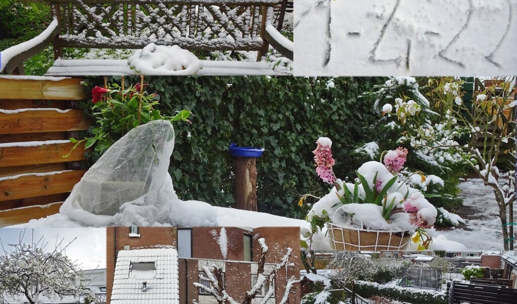 Witte daken, besneeuwde heggen en cijfers in de sneeuw.