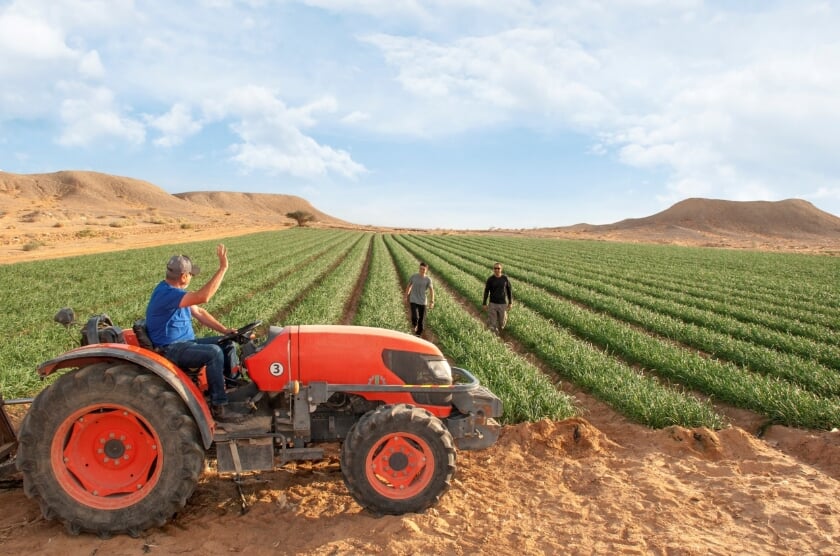 Landbouw in de Negev woestijn