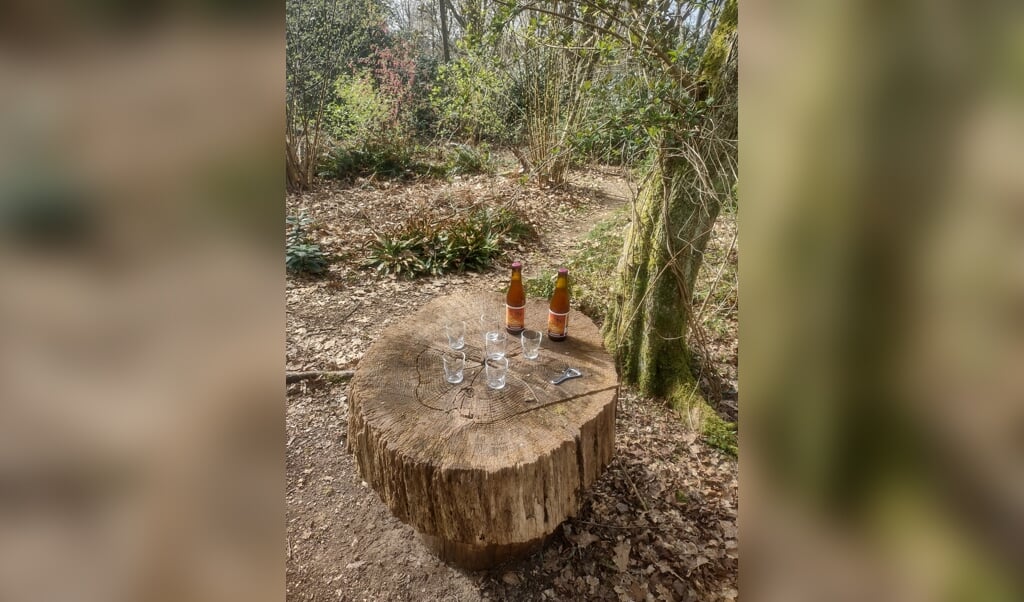 Bomen en bier: een verrassende combinatie