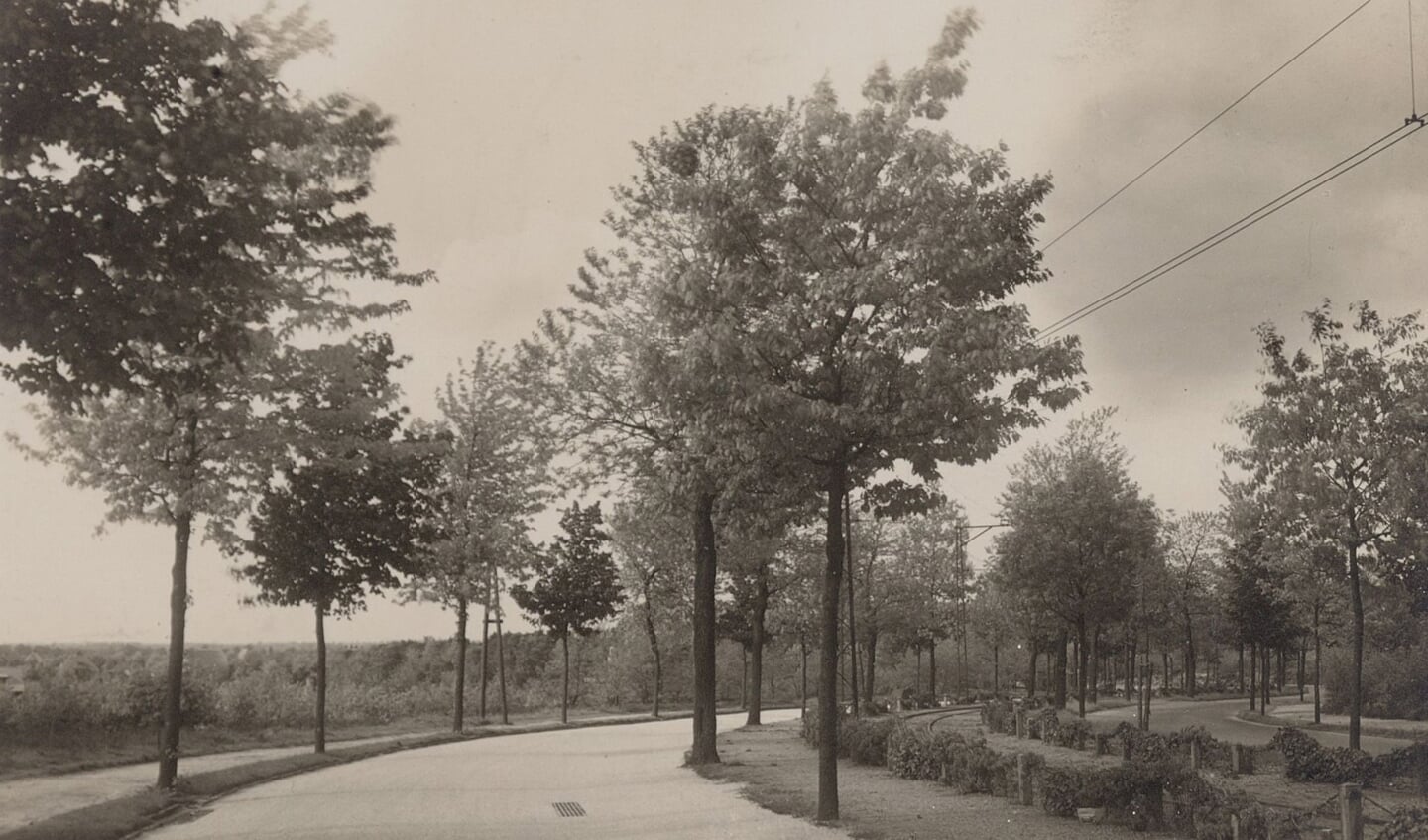 In 1949 verdween de tramlijn, maar het plantsoen en dubbele rijbaan bleven nog enige tijd gehandhaafd.