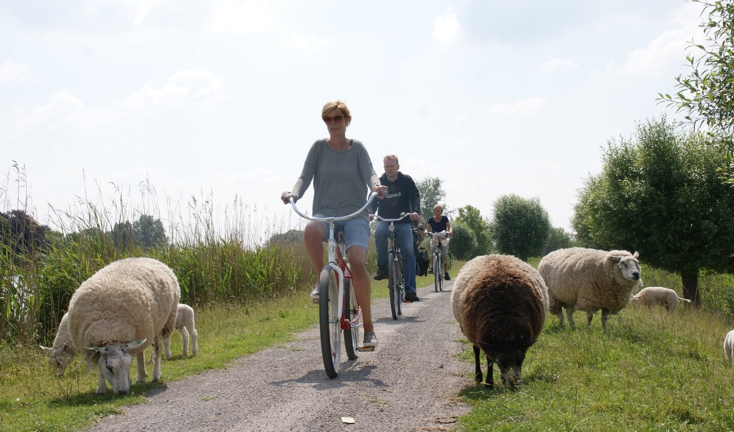 foto dorpentocht eerder jaar