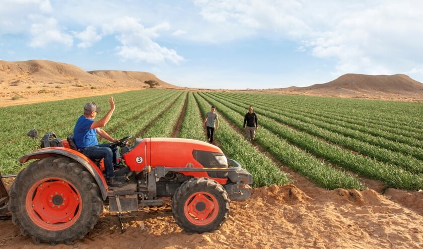 Landbouw in de Negev woestijn, Israël