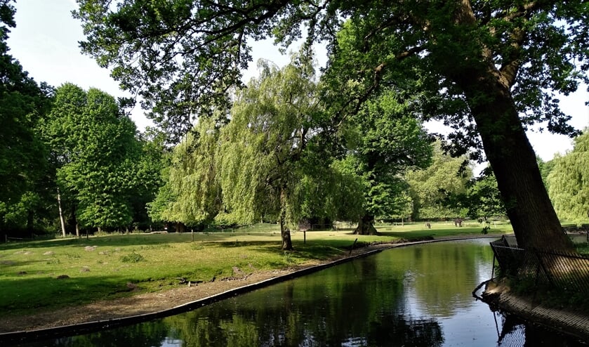 Velserbeek