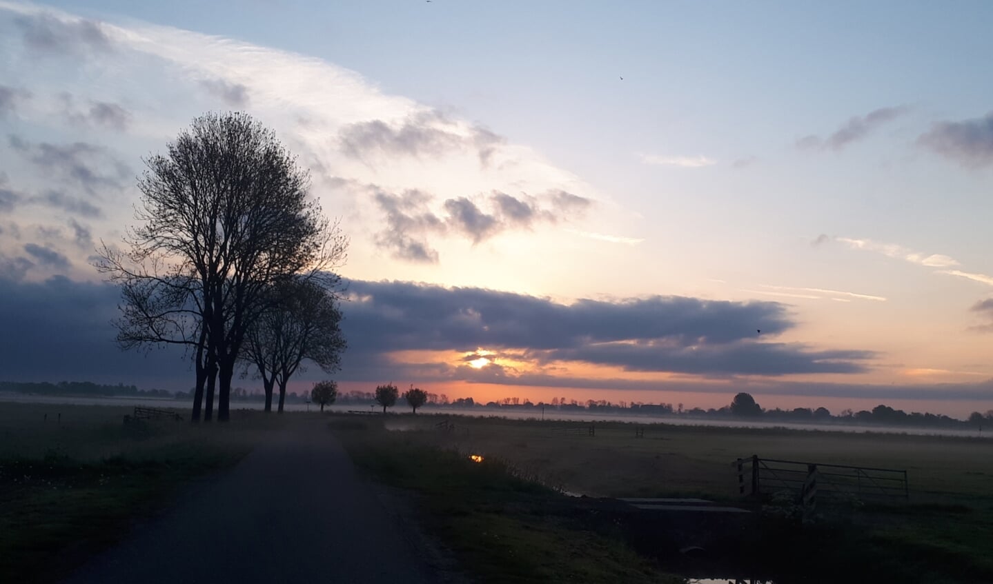 Zon opkomst met mistfarden