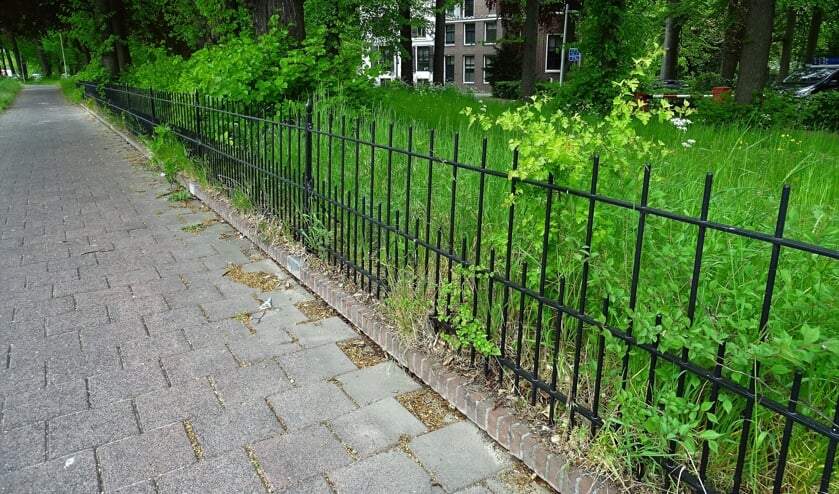 Park Scheybeeck