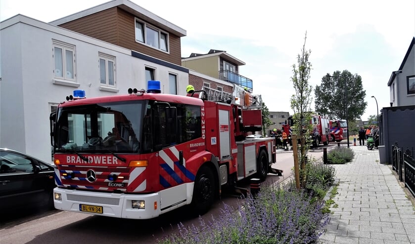 Brand