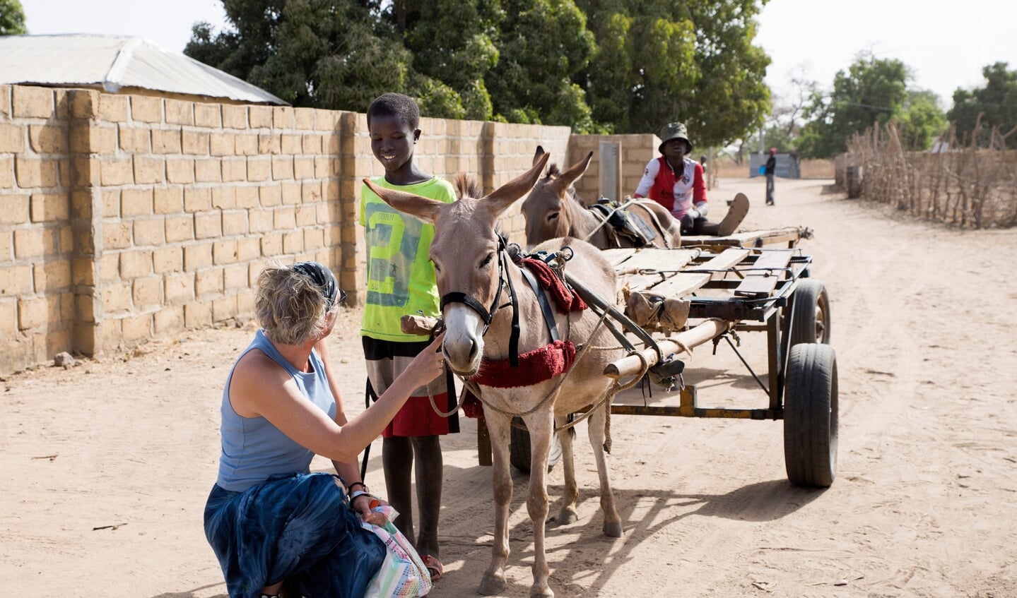 Nicolette Zandee vertroetelt een ezel in Afrika. 