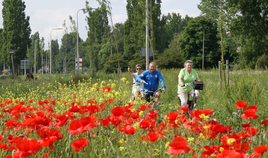 foto Dorpentocht eerder jaar