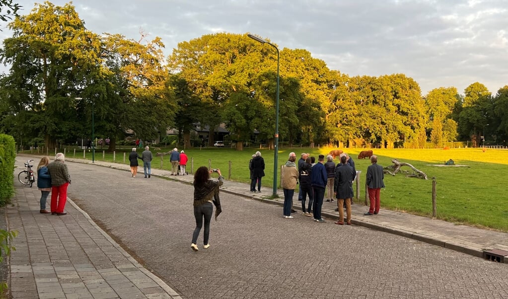 De vrienden van de Rusthoekweide genieten van de Schotse Hooglanders