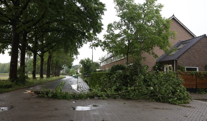 Op de Breehoven in Bennekom waaide er een dikke tak van een boom af