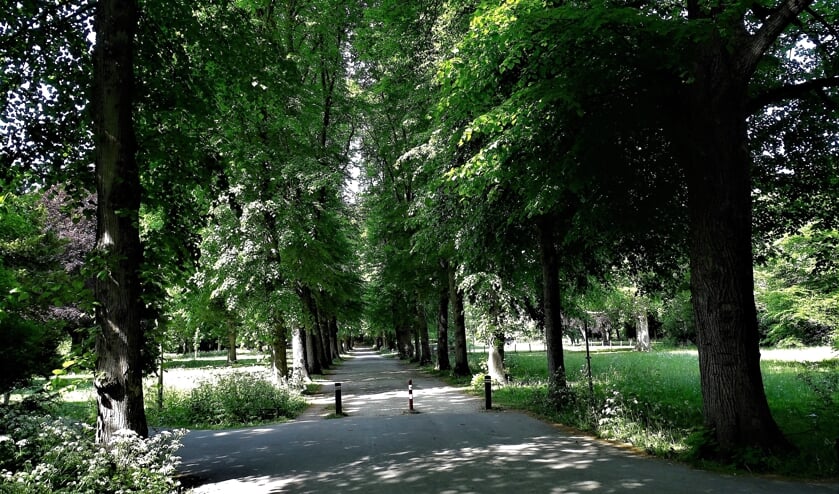 Velserbeek