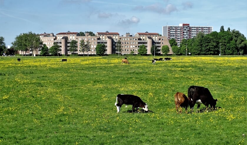 Oud Haerlem