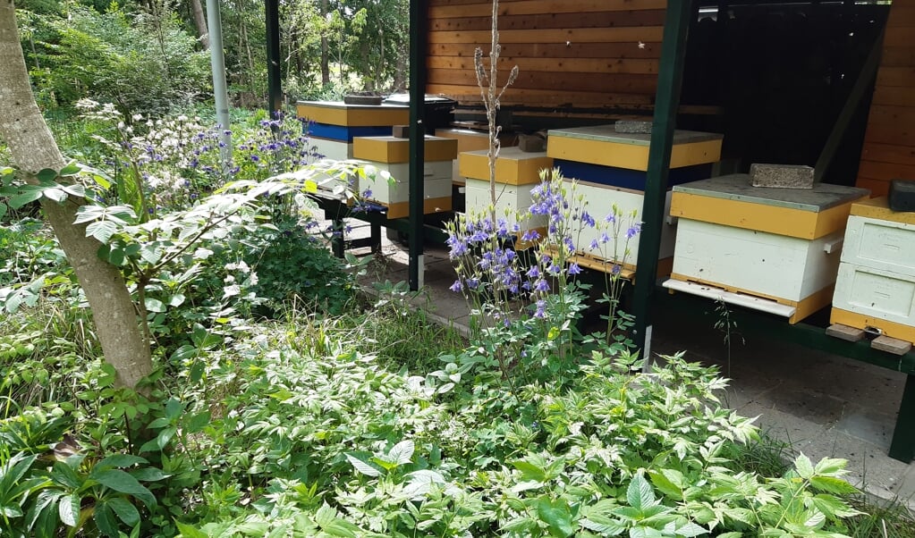 Bijenkasten in de vlinder- en bijentuin die sinds zaterdag weer toegankelijk is voor het publiek.