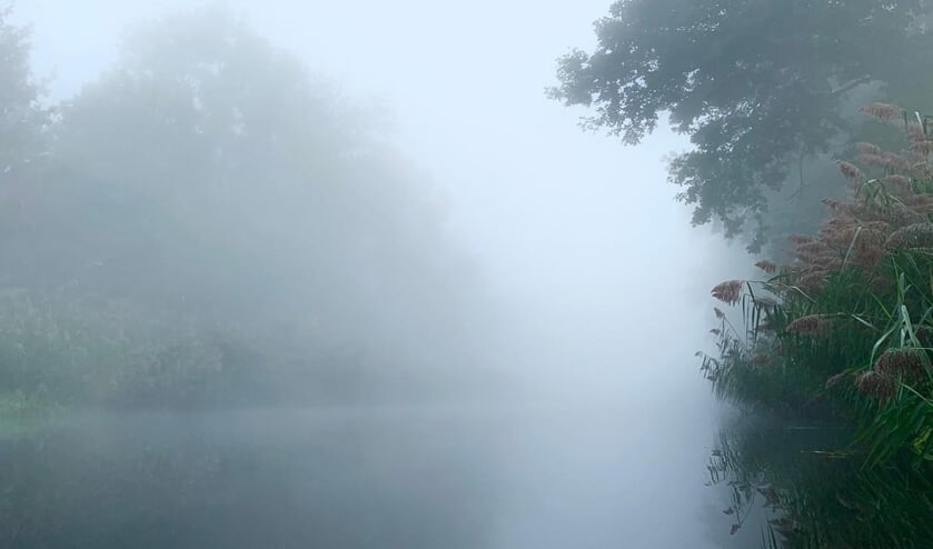 'Deze foto is gemaakt vanaf de aanlegsteiger van de 'kanoboerderij'. Mist geeft vaak een mysterieuze sfeer. Het water van het kanaal dat langzaam opgaat in de mist, in combinatie met de rietkraag maakt deze foto, voor mij, wat mysterieus.'