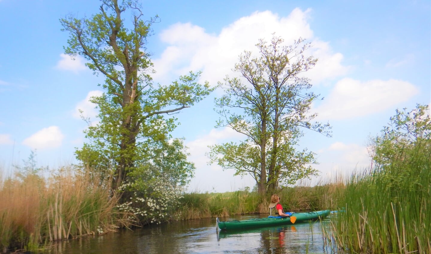 Tocht op de Nieuwkoopse Plassen.