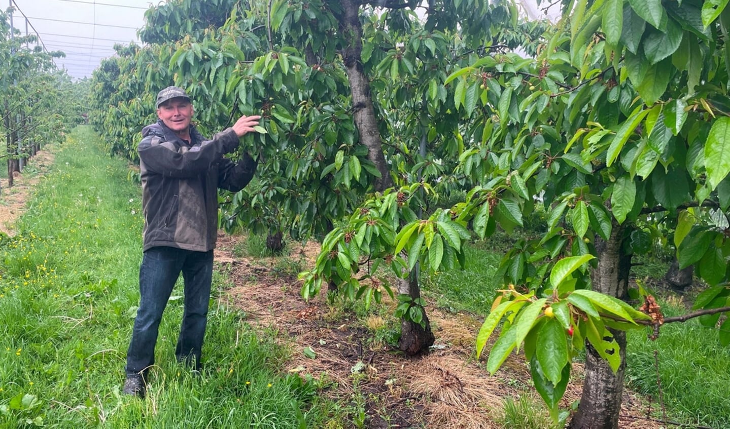 Wim Oskam is blij met de regen