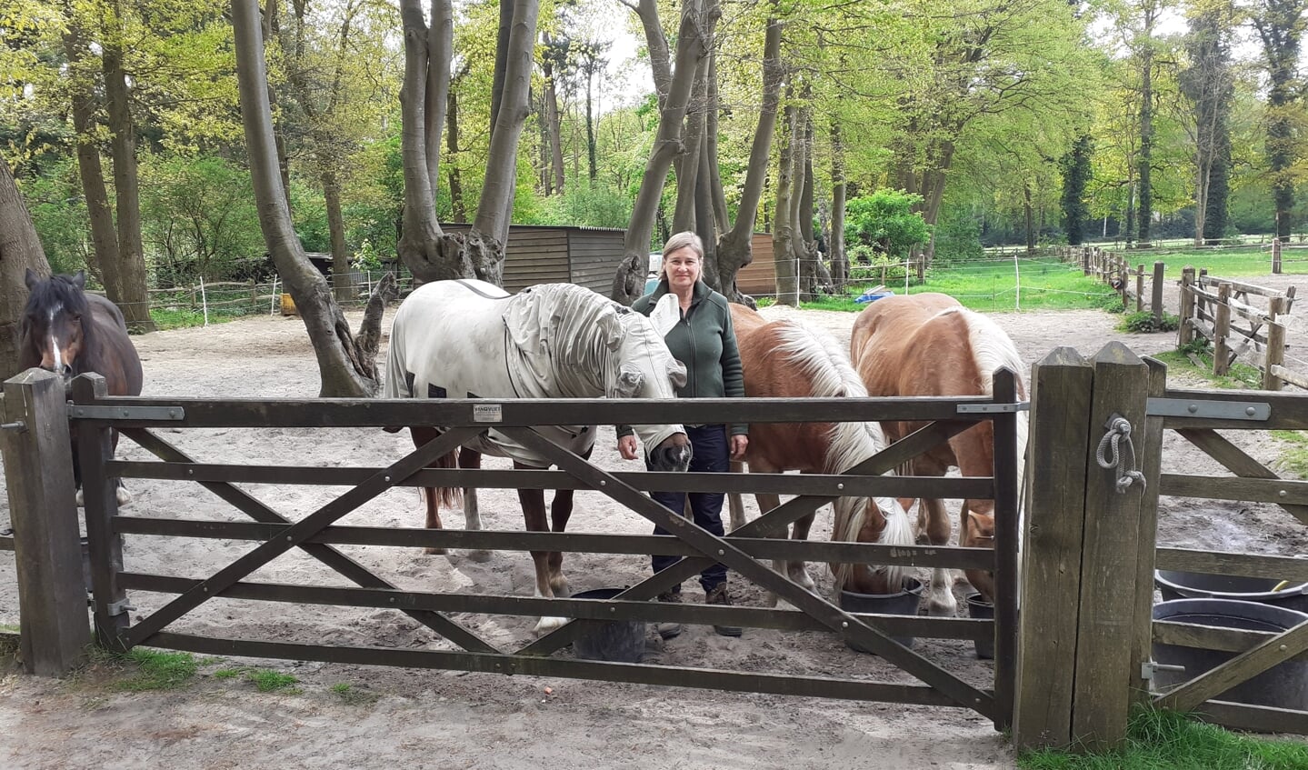 Patricia van Boheemen te midden van haar paarden