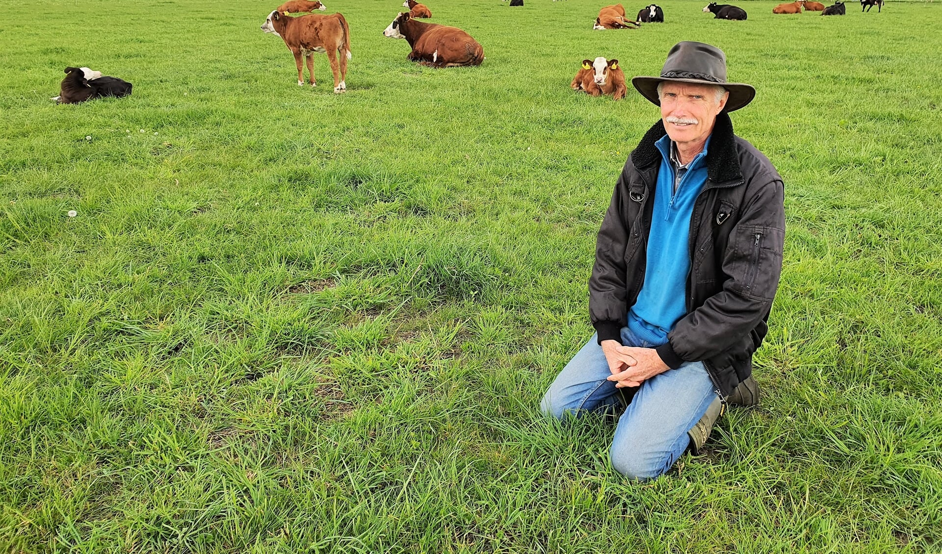 Oprichter van Veld & Beek, Jan Wieringa, in de wei, waar de kalfjes 'gewoon' tussen de koeien lopen.