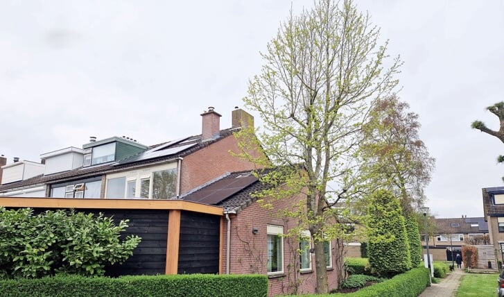 Afbeelding