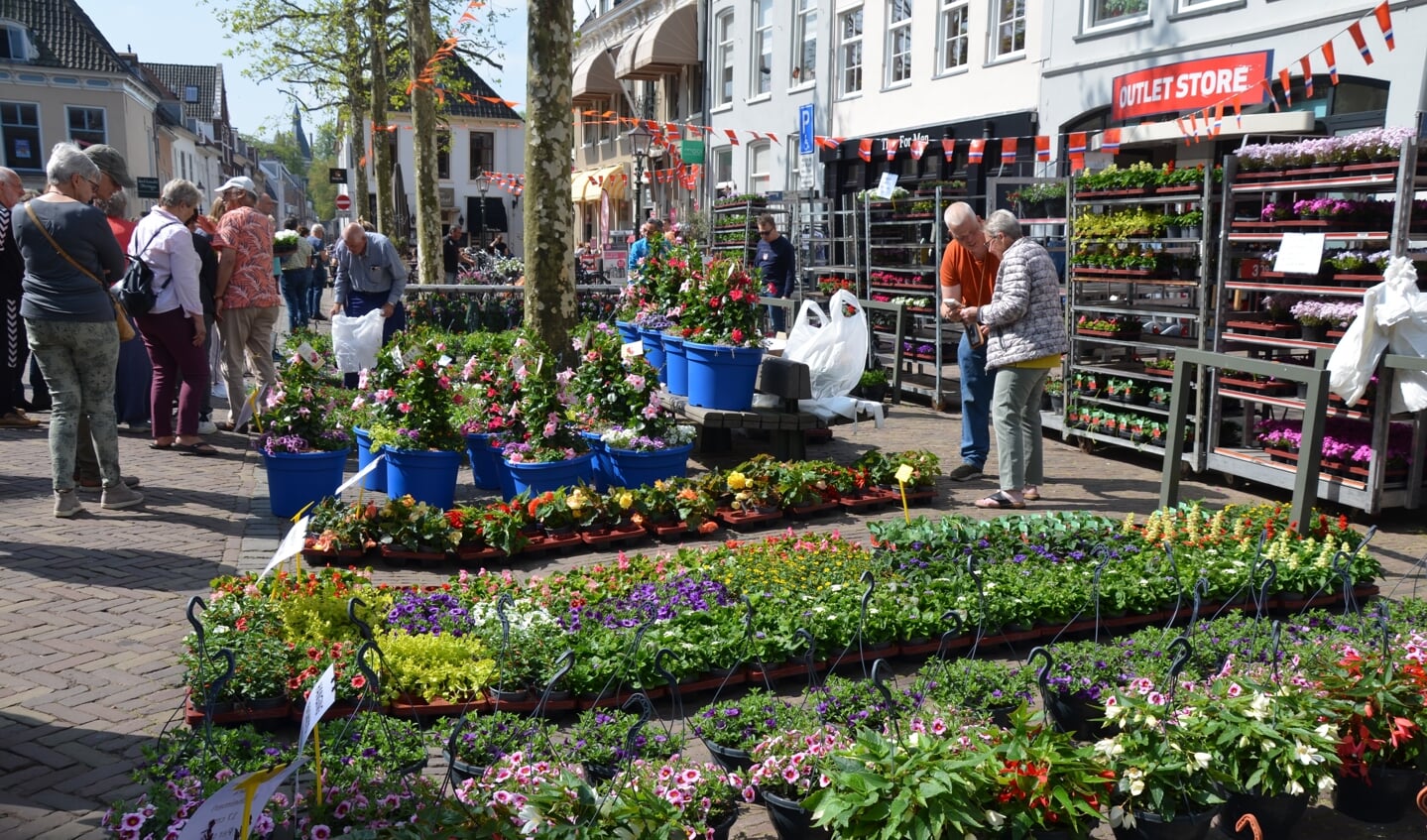 Geraniummarkt