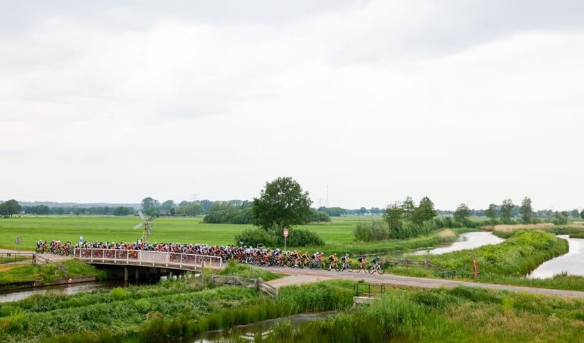 Door de Binnenveldse Hooilanden.