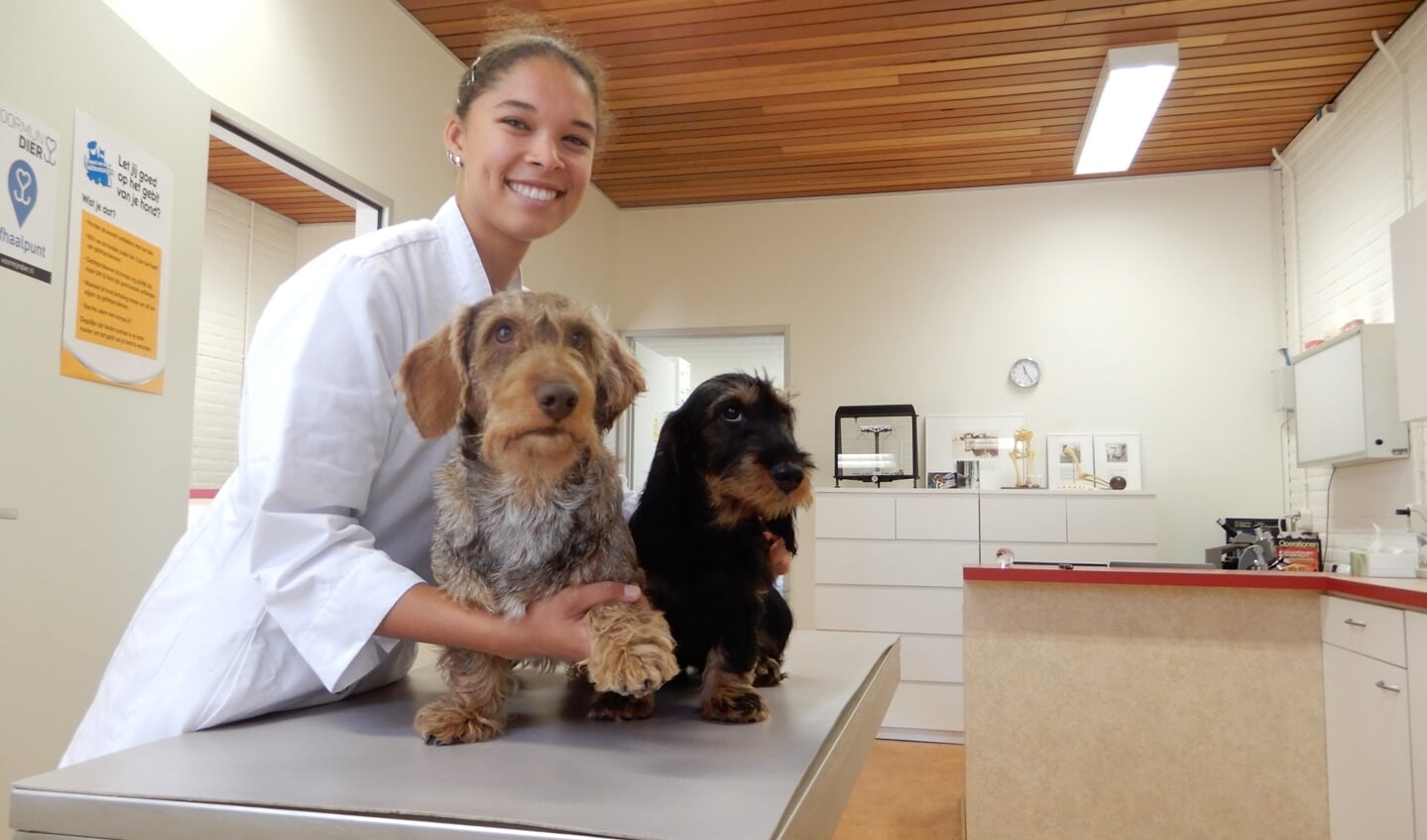 Ben jij die enthousiaste proactieve dierenartsassistent die het bevlogen team van Dierenartspraktijk Scherpenzeel komt ondersteunen?