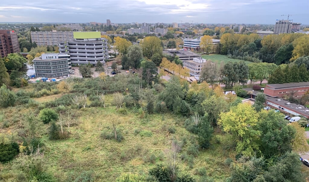 Braakliggend terrein in Kronenburg.