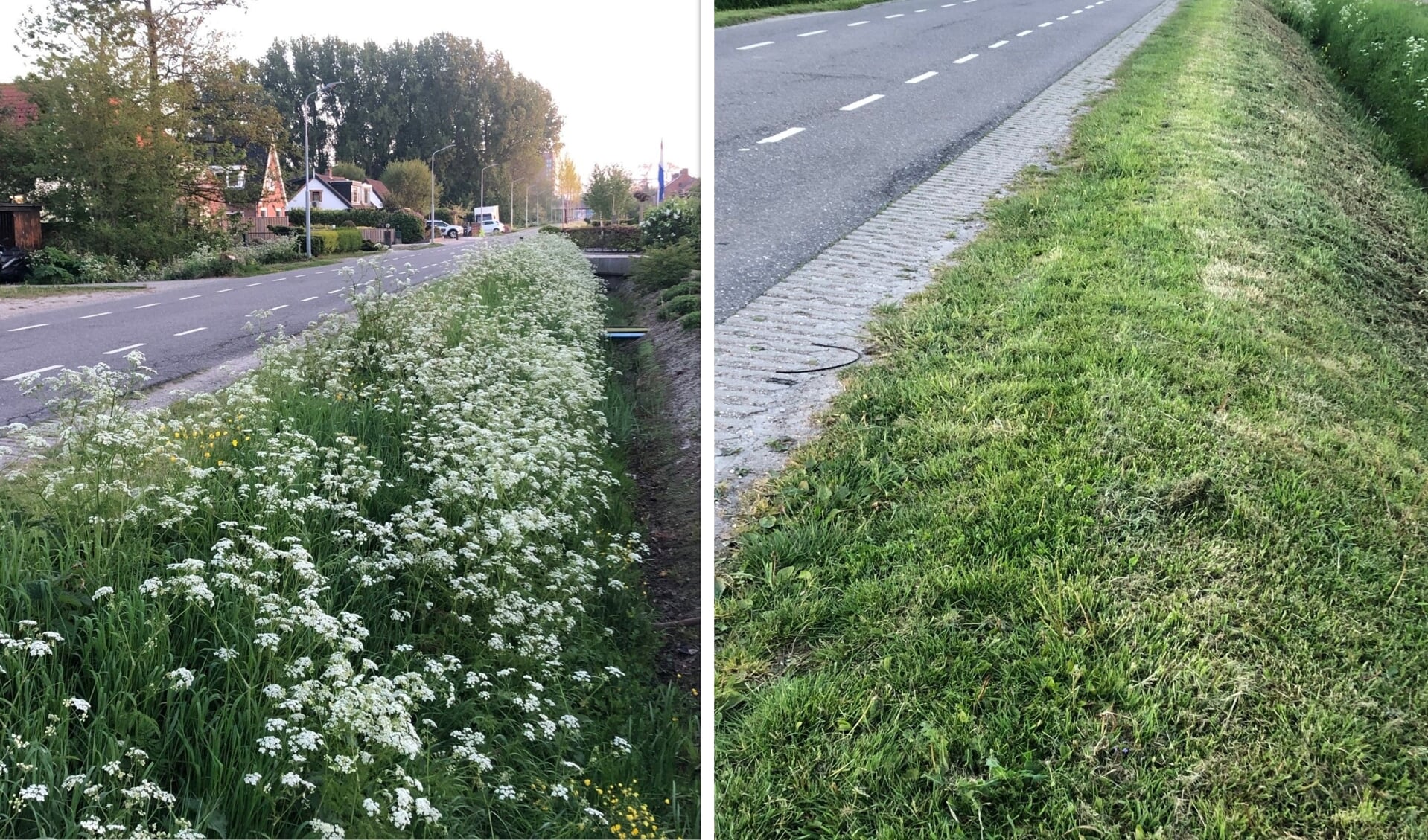 Voor en na het snoeien van de bermen aan de Rijnlanderweg.
