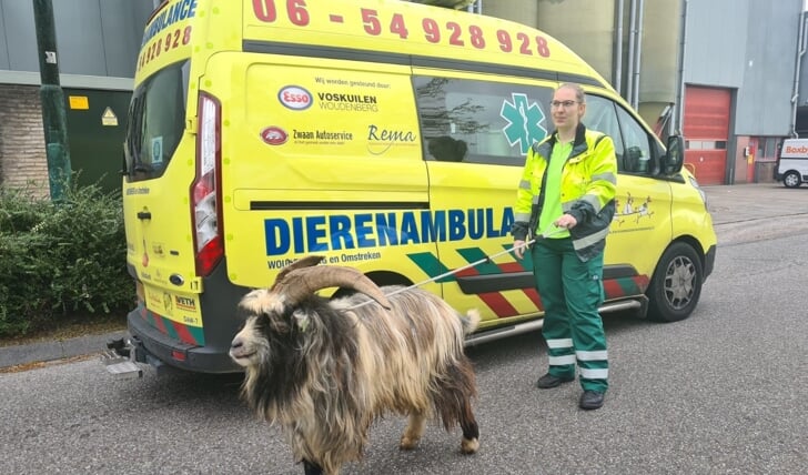 Afbeelding