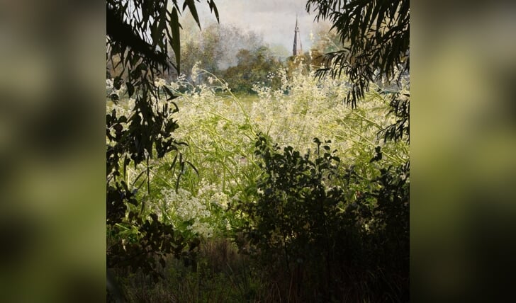 Afbeelding