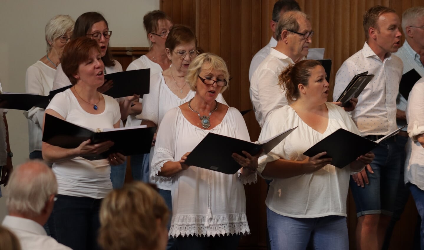 Een optreden van het Project1 koor tijdens Fête de la Musique, zaterdag in Ermelo. (foto: Rudger Yuri van Bokhorst)