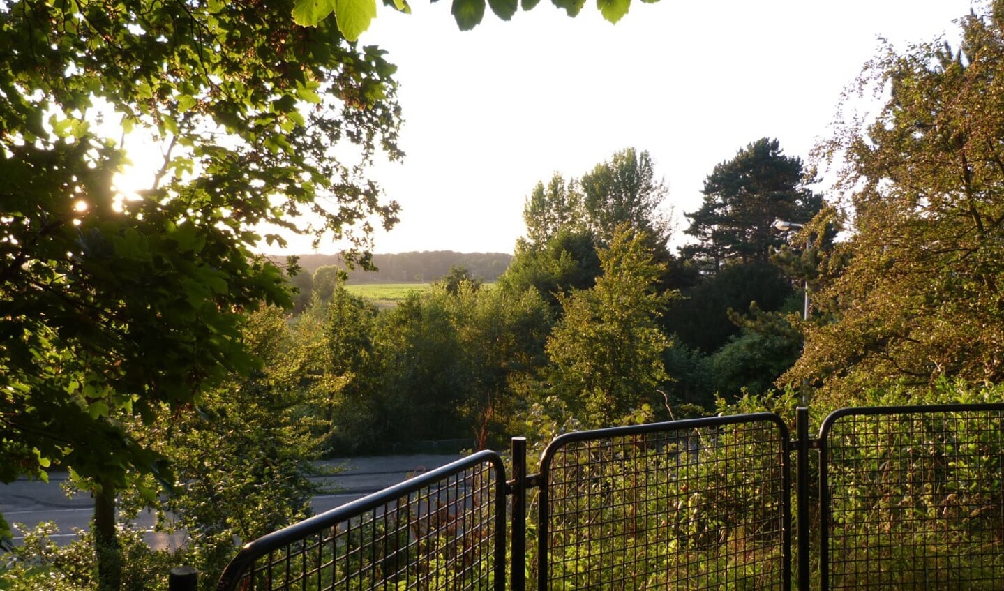 Avondwandeling in wandelbos Groenendaal.