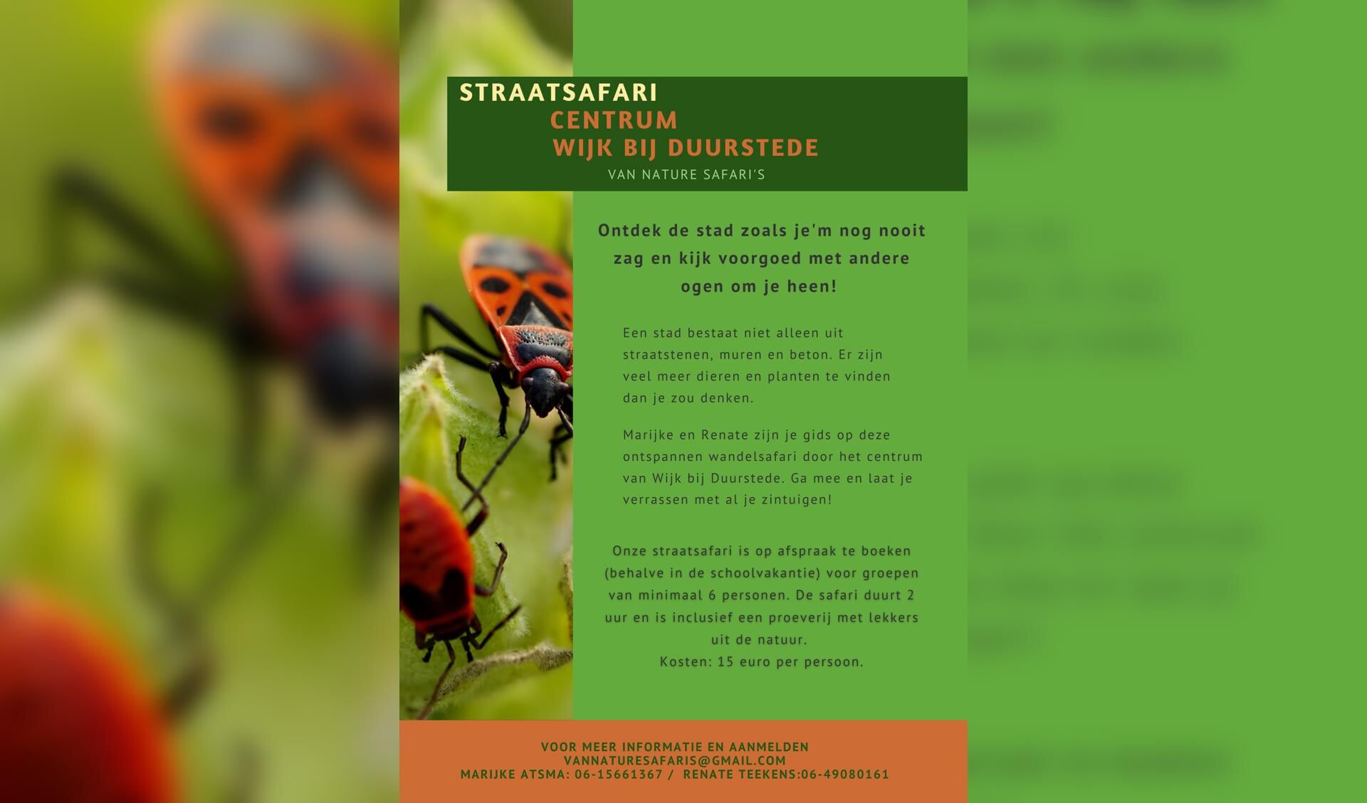Flyer Straatsafari Wijk bij Duurstede