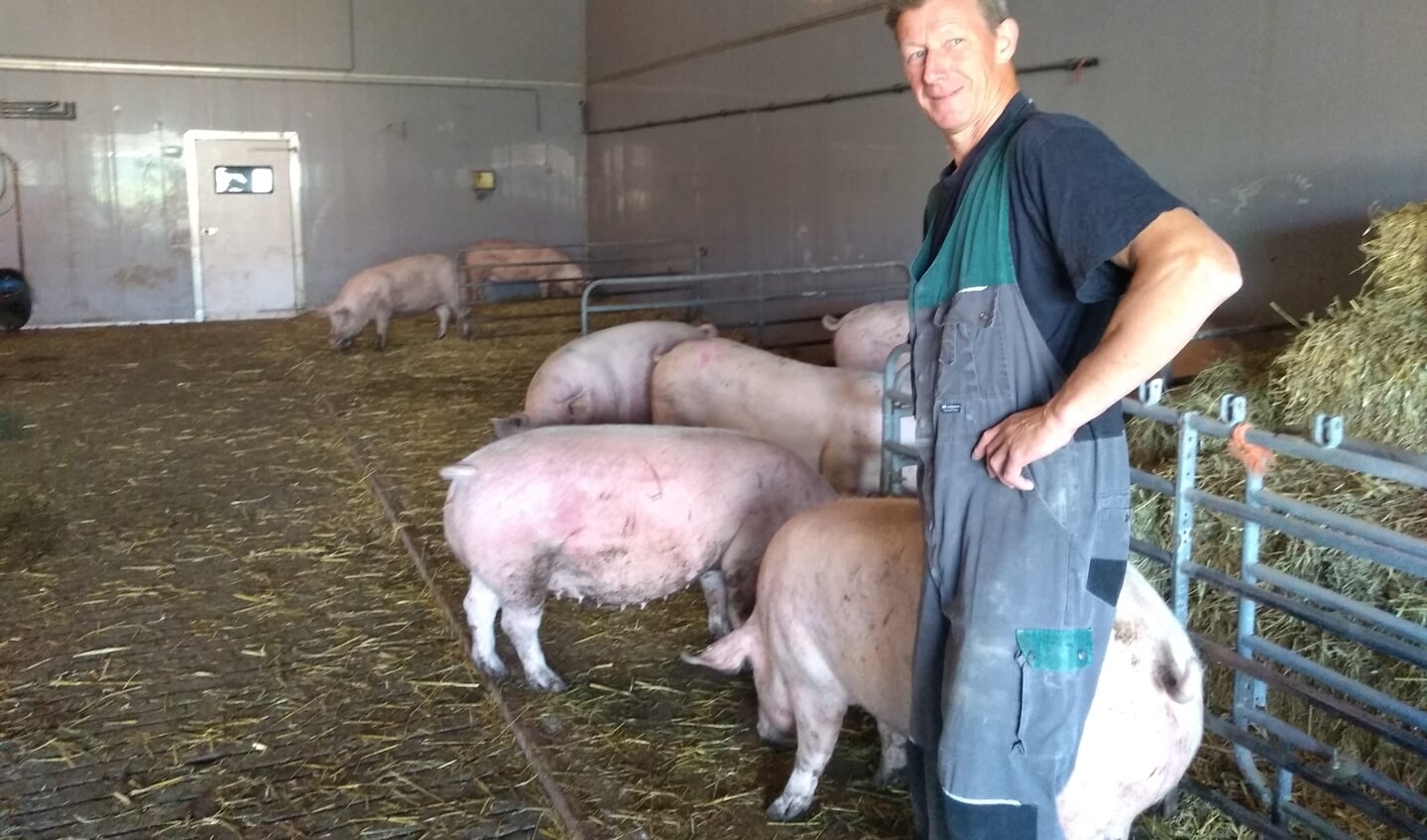 Wim van Vulpen schakelt om van een regulier varkenshouderijbedrijf met 750 zeugen en 1600 vleesvarkens naar biologisch, met 80 zeugen en 600 vleesvarkens.