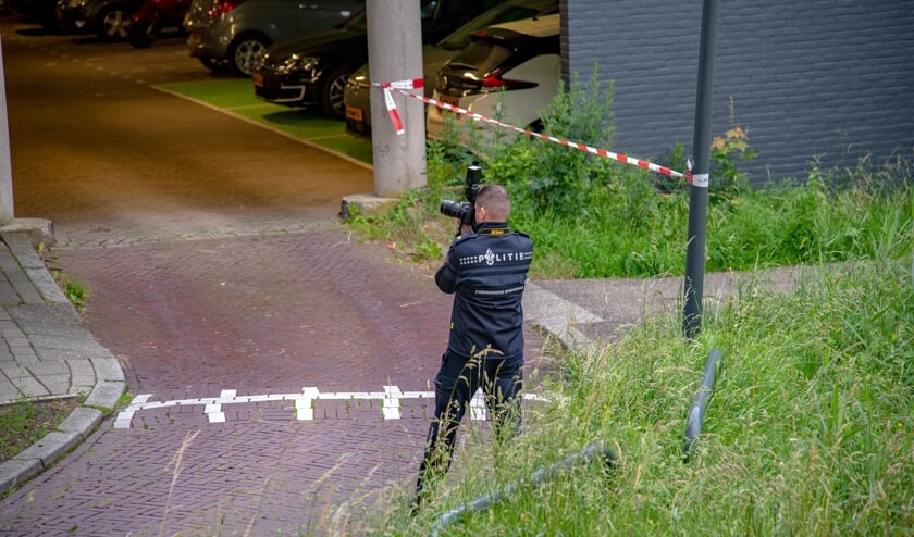 Afbeelding