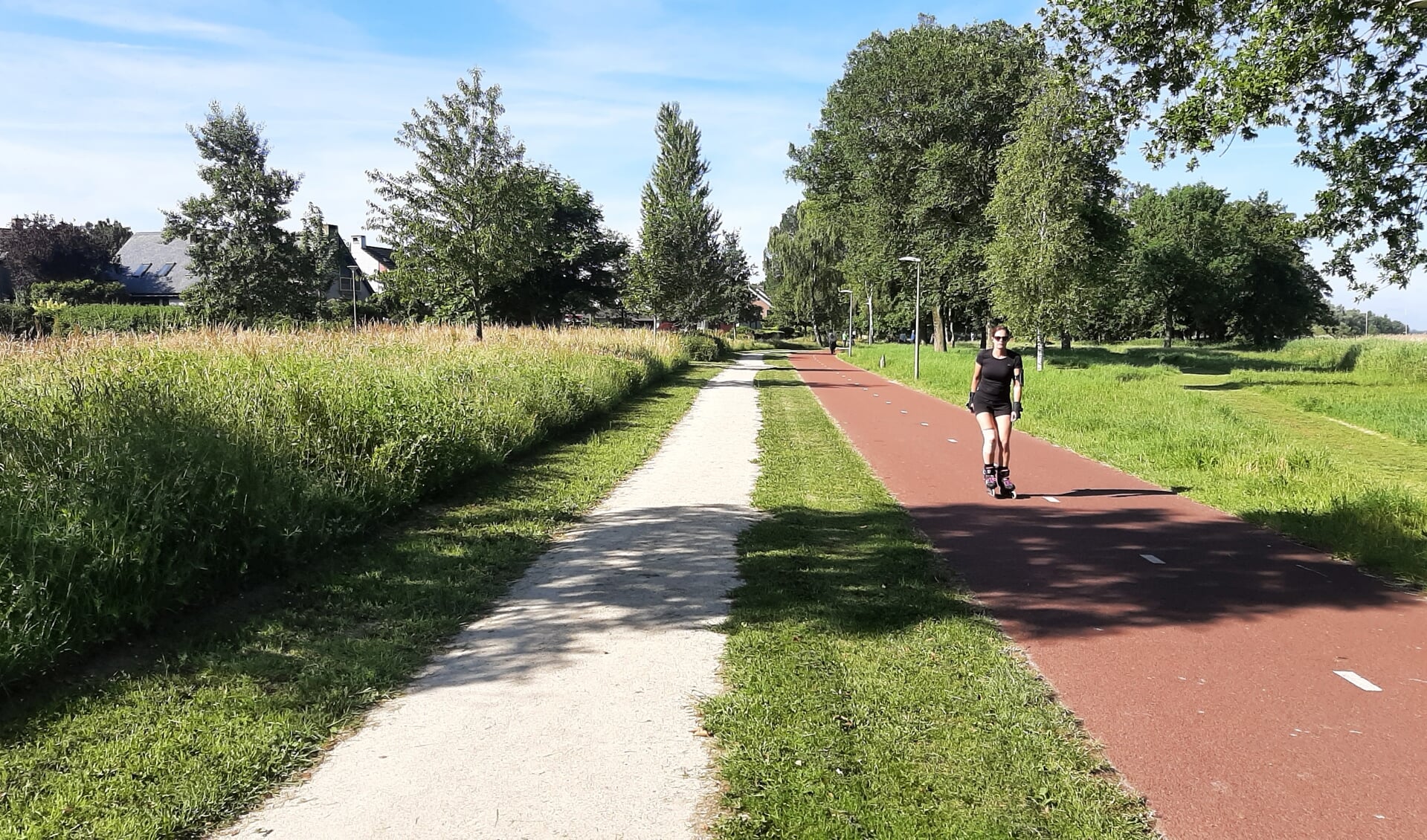In Harderwijk is gras niet meer alleen maar gras.