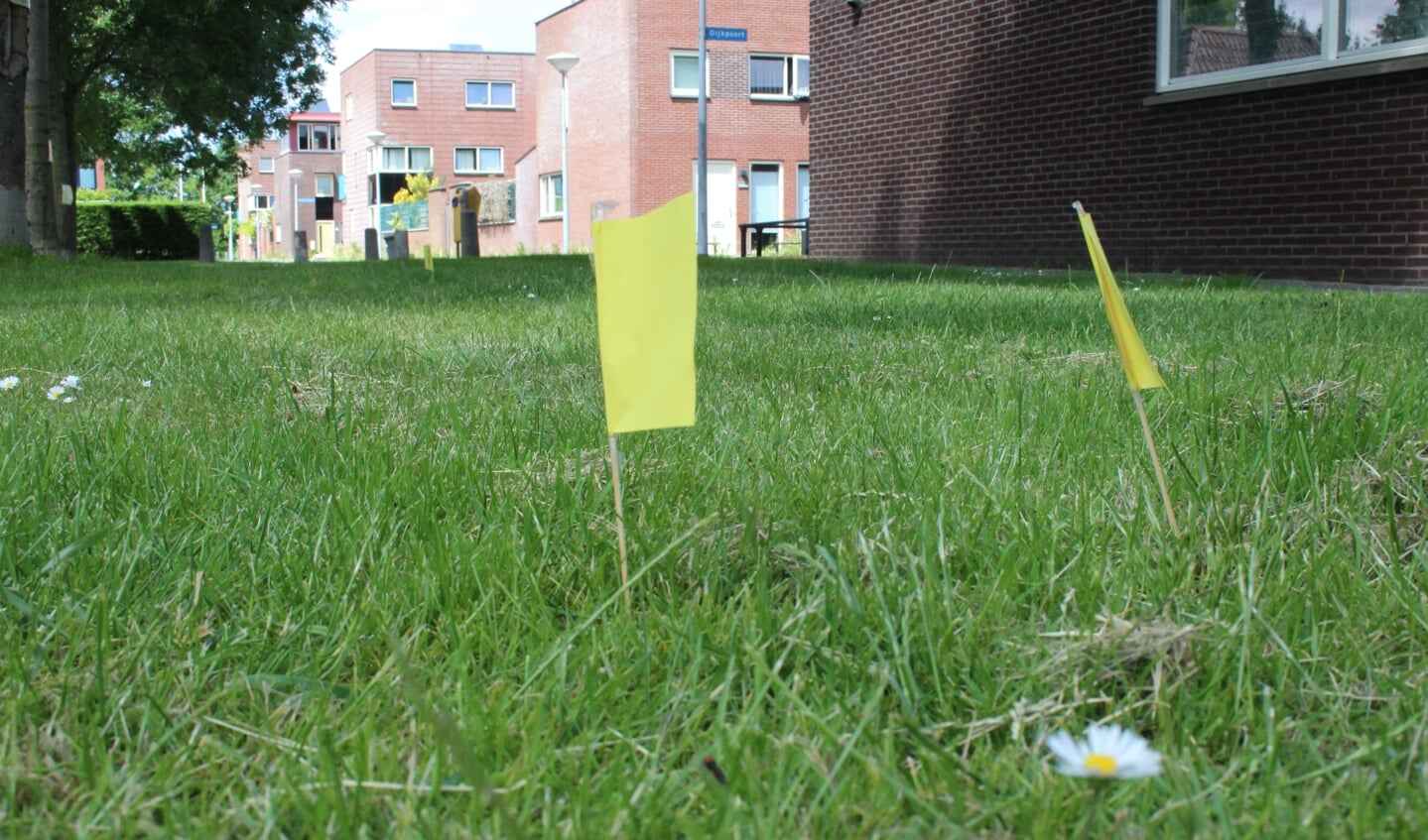 Gele vlaggetjes markeren een hoop niet opgeruimde hondenpoep in Hoofddorp.