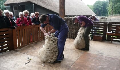 Afbeelding