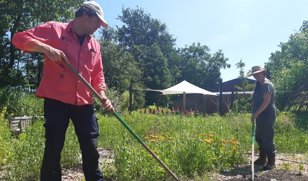 Een vrijwilliger schoffelt de permacultuurtuin. In de verte de rode puntmutsen.